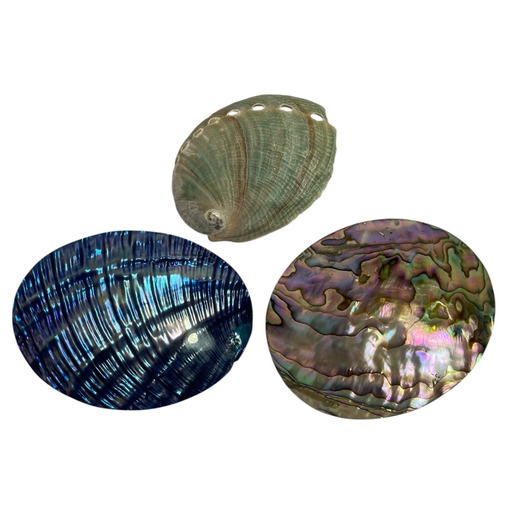 Vintage Abalone Shell Scarf Slides Set of 3